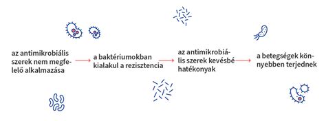 Antimikrobiális felület