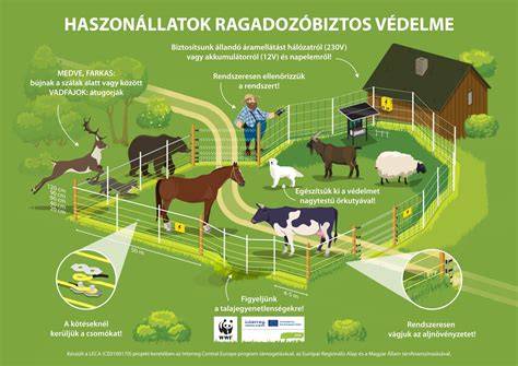 Infografika a tolóajtó vasalatokról és rendszereiről