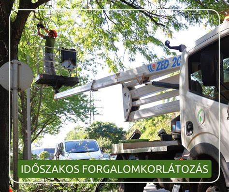 Állványépítési munkálatok