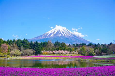 A Fuji vulkanikus kúpjai