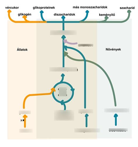 A betonozás folyamatát bemutató diagram