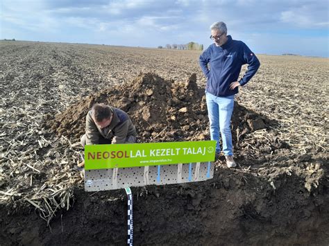 Talajszelvény hőmérsékleti görbével