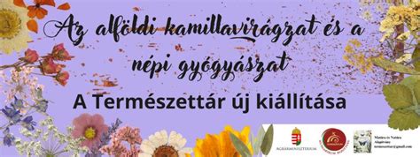 Az Alföldi Téglárium kiállítása