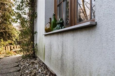 Homlokzati vakolat tisztítása