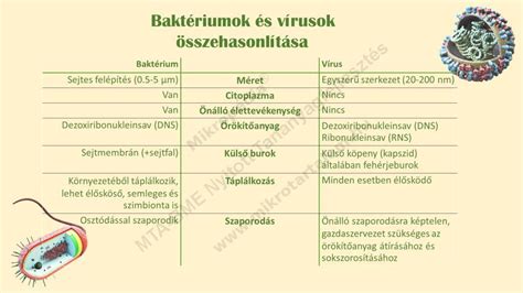 Árak és méretek összehasonlítása