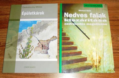 Nedves falak károsodása sókivirágzással