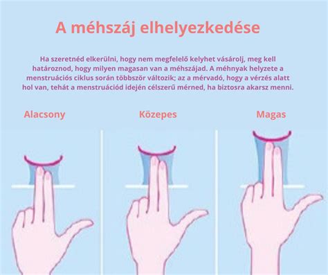 méhszáj tágulása