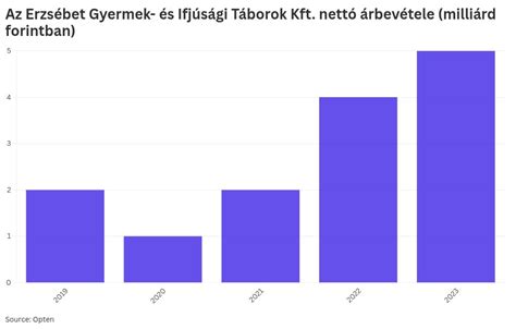Grafikon nettó árbevétel alakulásáról öt éven keresztül