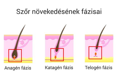 Lakásfelújítás különböző fázisai
