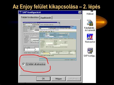 A pályázati rendszer felülete