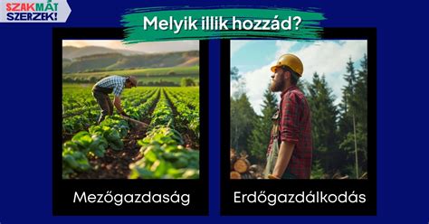Erdőgazdálkodás modern technológiával