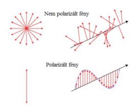 A polarizált fény és a polarizációs szűrő szemléltetése