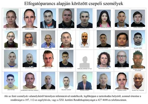 Kaposvári kéményépítő szakemberek listája