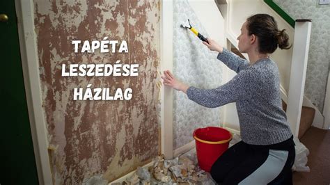 vizuális összehasonlítás tapéta és festés között