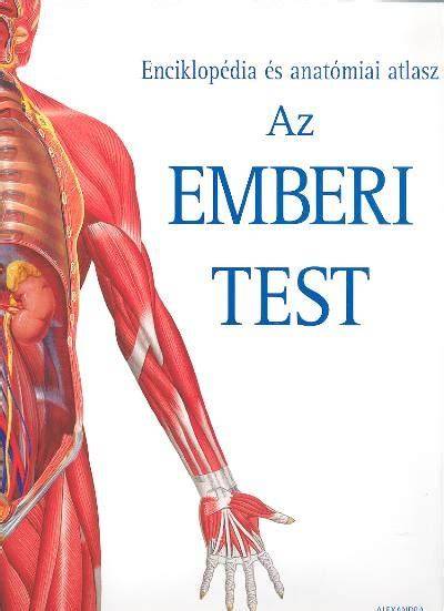 emberi test anatómiai részletek diagram