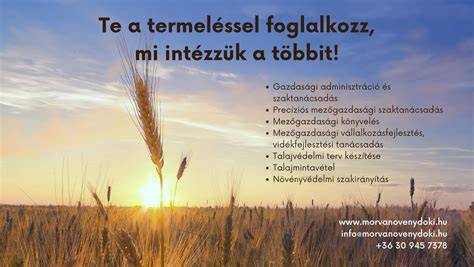 táborhely-velencei-tó infographic