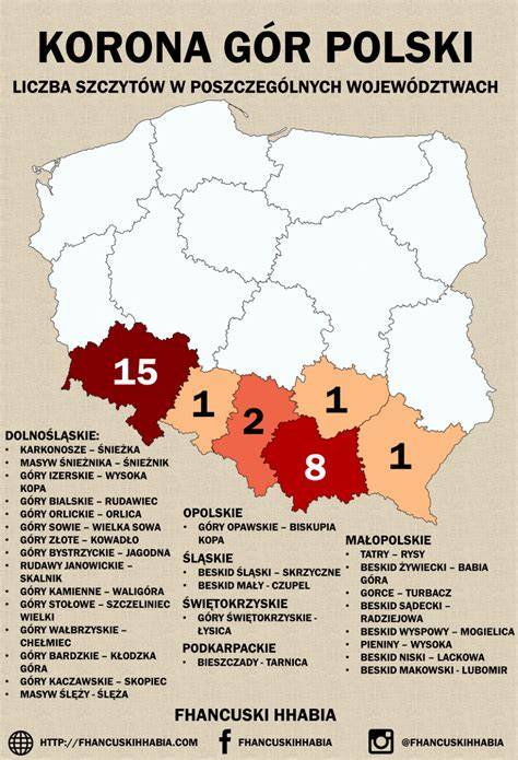 infografika a korona ragasztás folyamatáról