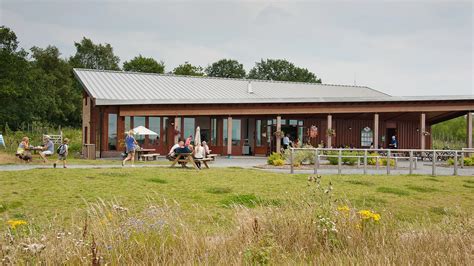 National Forest Hicks Lodge erdo