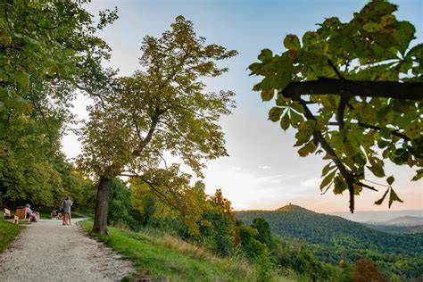 Panorámás kilátás a Normafa környékén