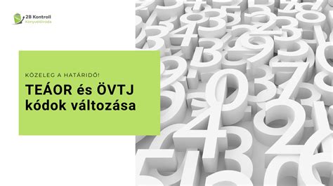 vizualizáció TEÁOR és ÖVTJ kapcsolat
