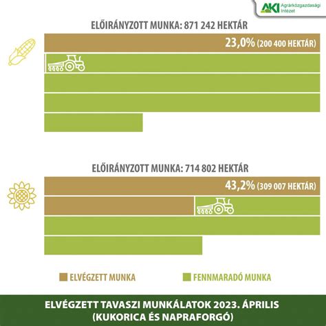 tervezett tetőcserepek méret-összehasonlítás infografika