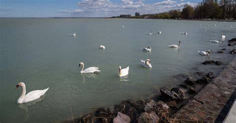 Balaton vízparti területek vizuális ábrázolása