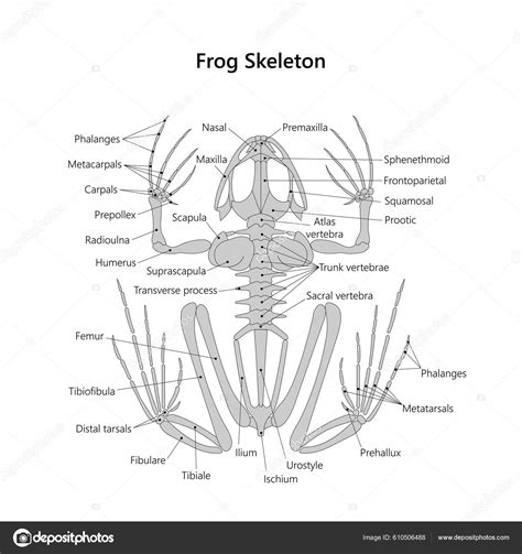 redőnylamella felépítés diagram
