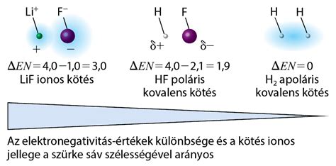 műgyanta kémiai kötés és térhálósodás folyamatának ábra