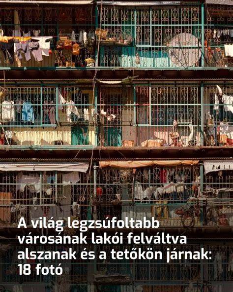 darazsfészek elhelyezkedése házakon és tetőkön