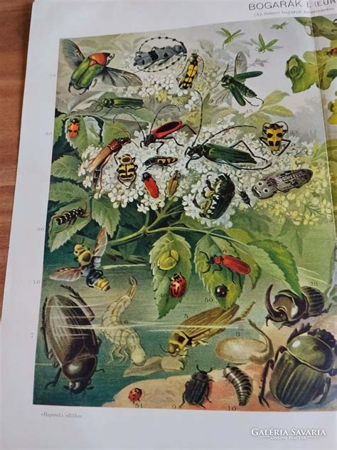 Természetes fénytetőablak grafika