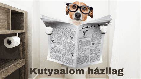 Kutya alom megoldások illusztráció