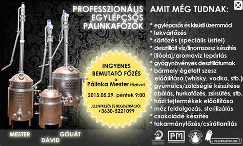 A pálinka világát bemutató infografika
