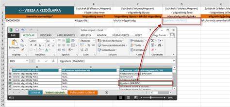 Excel alapú adathordozó importáló rendszer