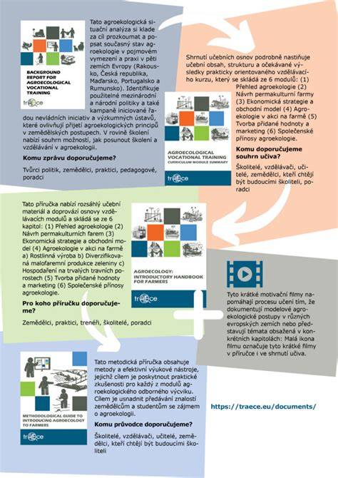 infografika a megállók hálózatáról Kalocsa
