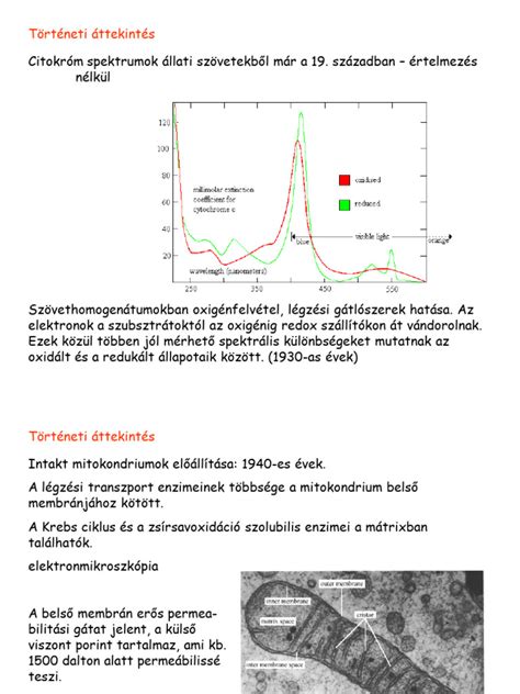 lakótelep történeti áttekintés térképpel