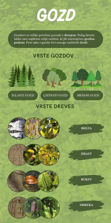 infografika a hosszú osztósíkú szigeteléstartó elrendezéséről
