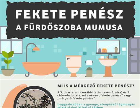 vízkőmentes fürdőszoba infografika