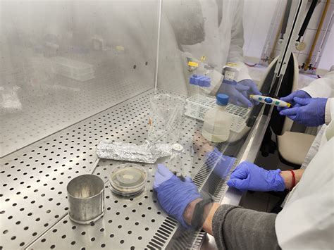Nyomószilárdság vizsgálata laboratóriumban