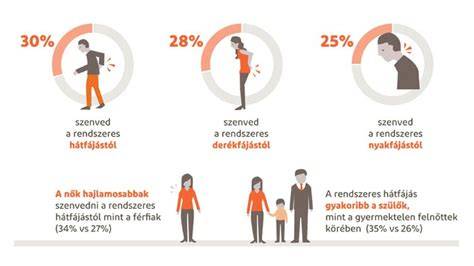 infografika-Roto-vasalat-áttekintés