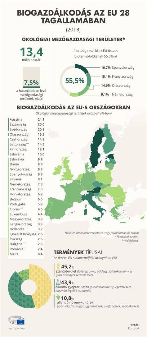 Infografika az EGGER ökológiai és gyártási folyamata