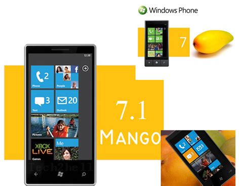 Windows Phone 7 Mango interface elements