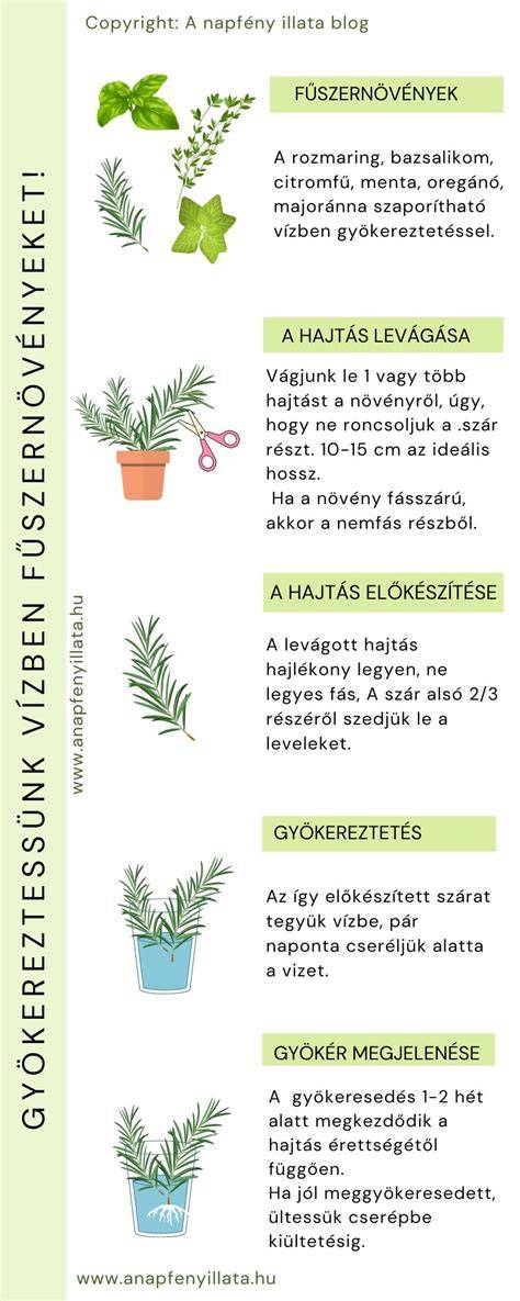 Részvételi lépések ábra