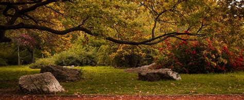 Különböző típusú zöldfelületek Jászberényben: park, zöldsáv, utca
