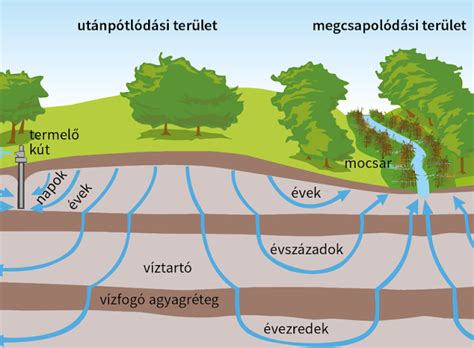 A talajvíz és a rétegvíz elhelyezkedése
